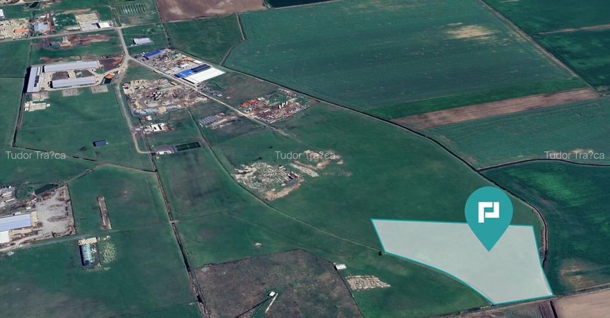 Teren intravilan de 26,606mp Sacalaz - 1