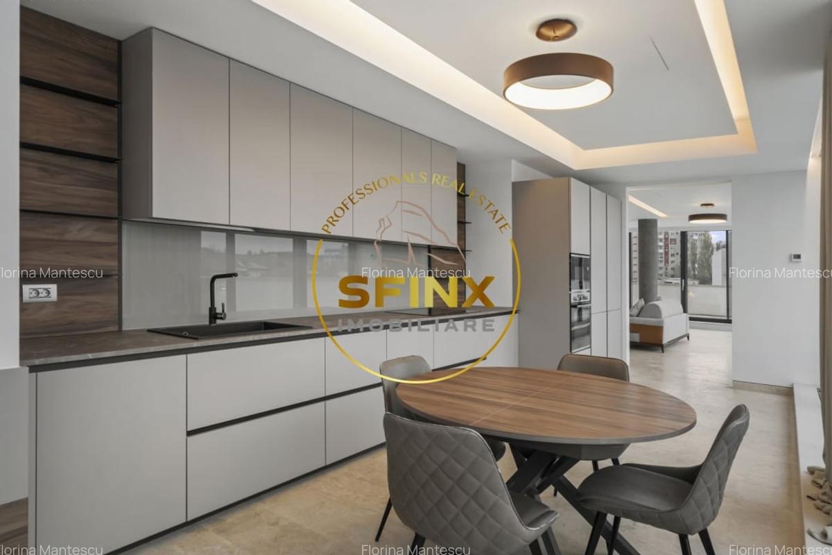 Kiseleff, 4 room penthouse with roof terrace, panoramic view, pet friendly - 6