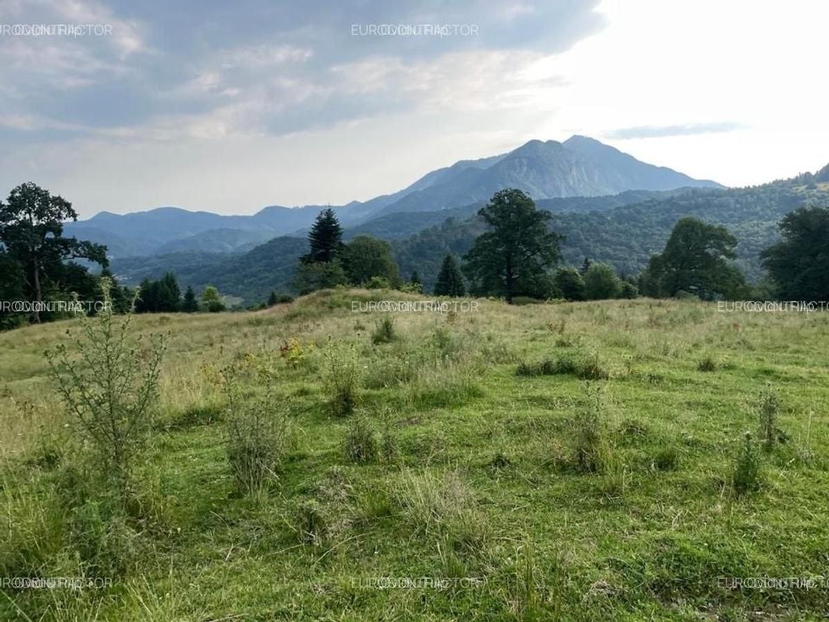 Teren Rasnov inntravilan PUZ) zona Parau Rece - 10