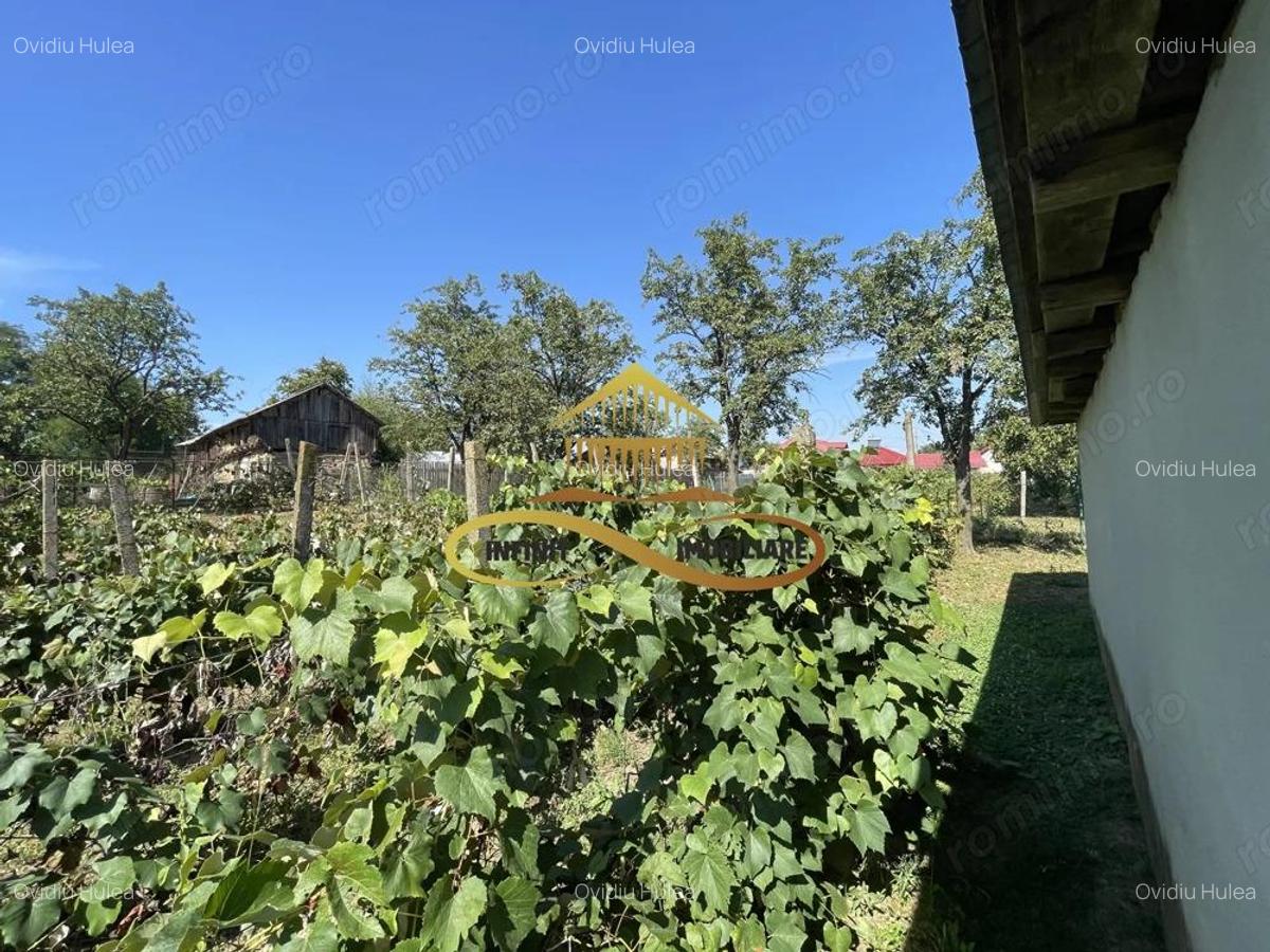 Casa de vanzare in Bacau Valea Seaca teren generos ?i anexe - 20