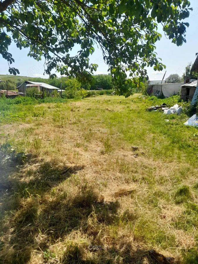 Persoana Fizica vand Teren Cluj - Borsa Catun - Intravilan 2300 mp - Extras CF - Cabana - Foisor - 11