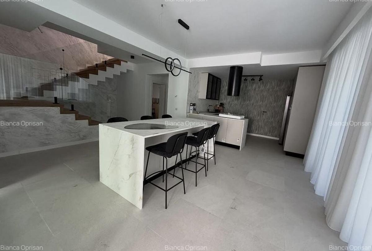 VILA DE ÎNCHIRIAT IANCU NICOLAE PIPERA - 14