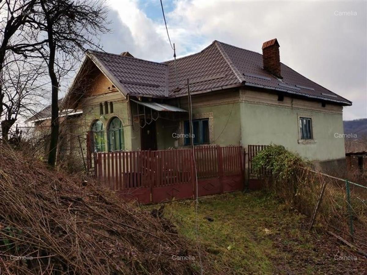 Casă cu 3500 mp Teren, Schitu-Golești, Argeș! - 4