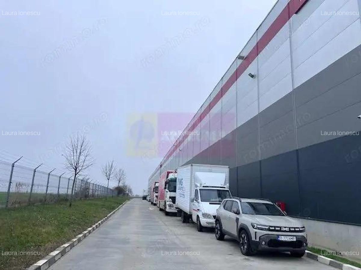 Teren Domnesti- Depozit Altex, Emag. - 3