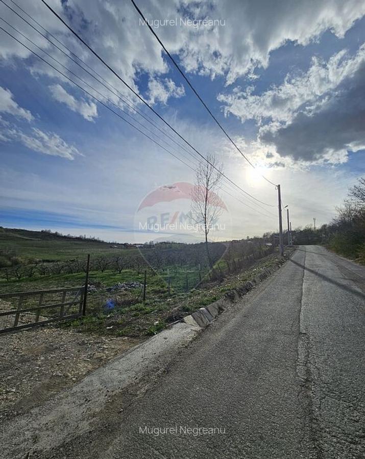 15 parcele de 1000 mp de vanzare in Breaza Prahova- toate... - 16 15 parcele de 1000 mp de vanzare in Breaza Prahova- toate... - 16