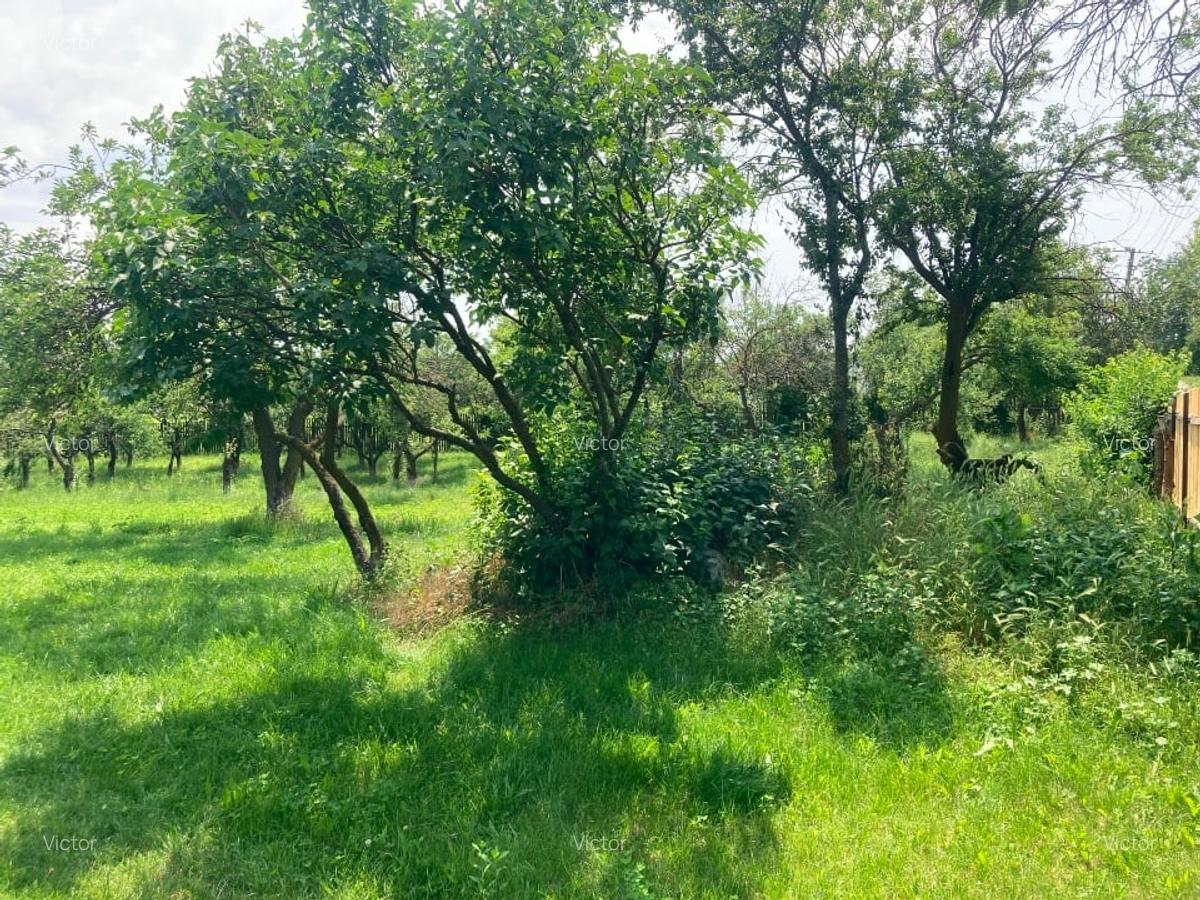 Vând teren intravilan cu casă locuibilă, Butimanu, Dâmbovița – 3.900 m² - 4