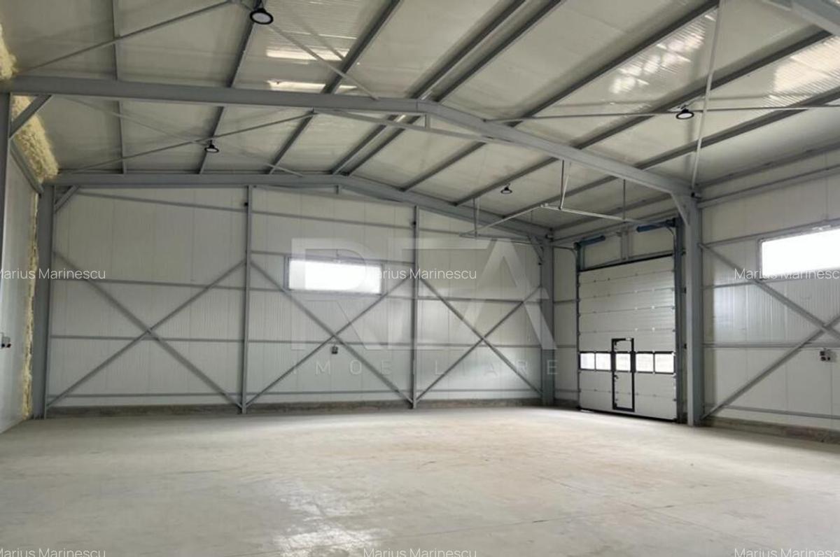 Hala de inchiriat in Domnesti / Centura - 2