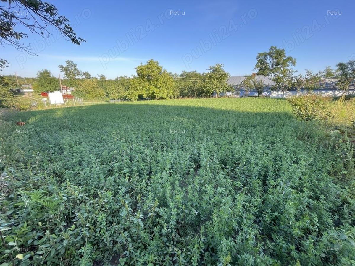 Casa si Gradina Pozitie Centrala pe Loc Drept - 4