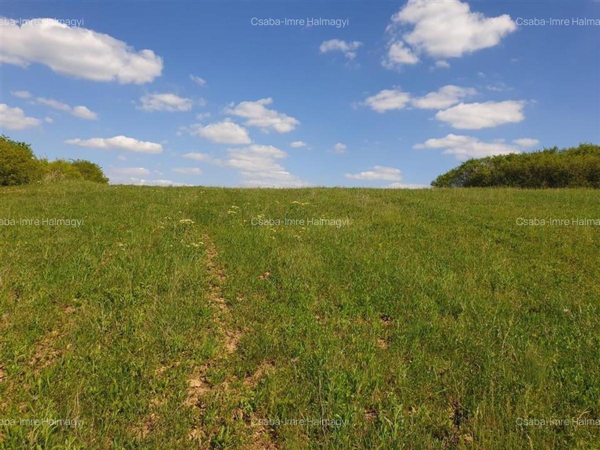 Teren Construcții intravilan de 6900 mp, în Uileacu de Munte - 4