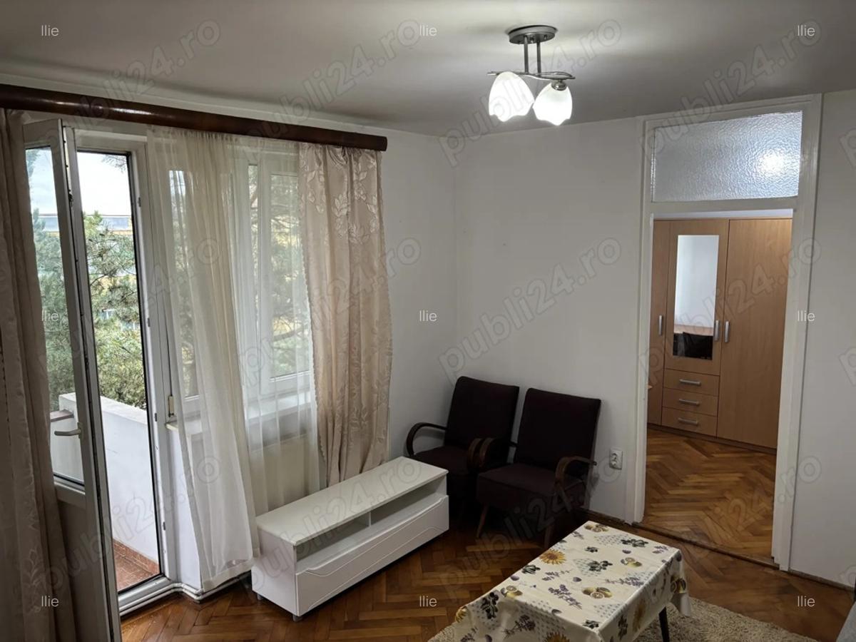 Apartament ingrijit cu Brazi la balcon - 4