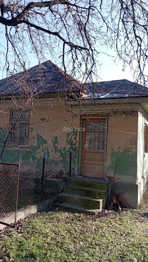 Gospodarie la tara - 3