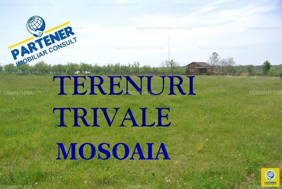 Terenuri Trivale, diverse suprafete, utilitati - 1