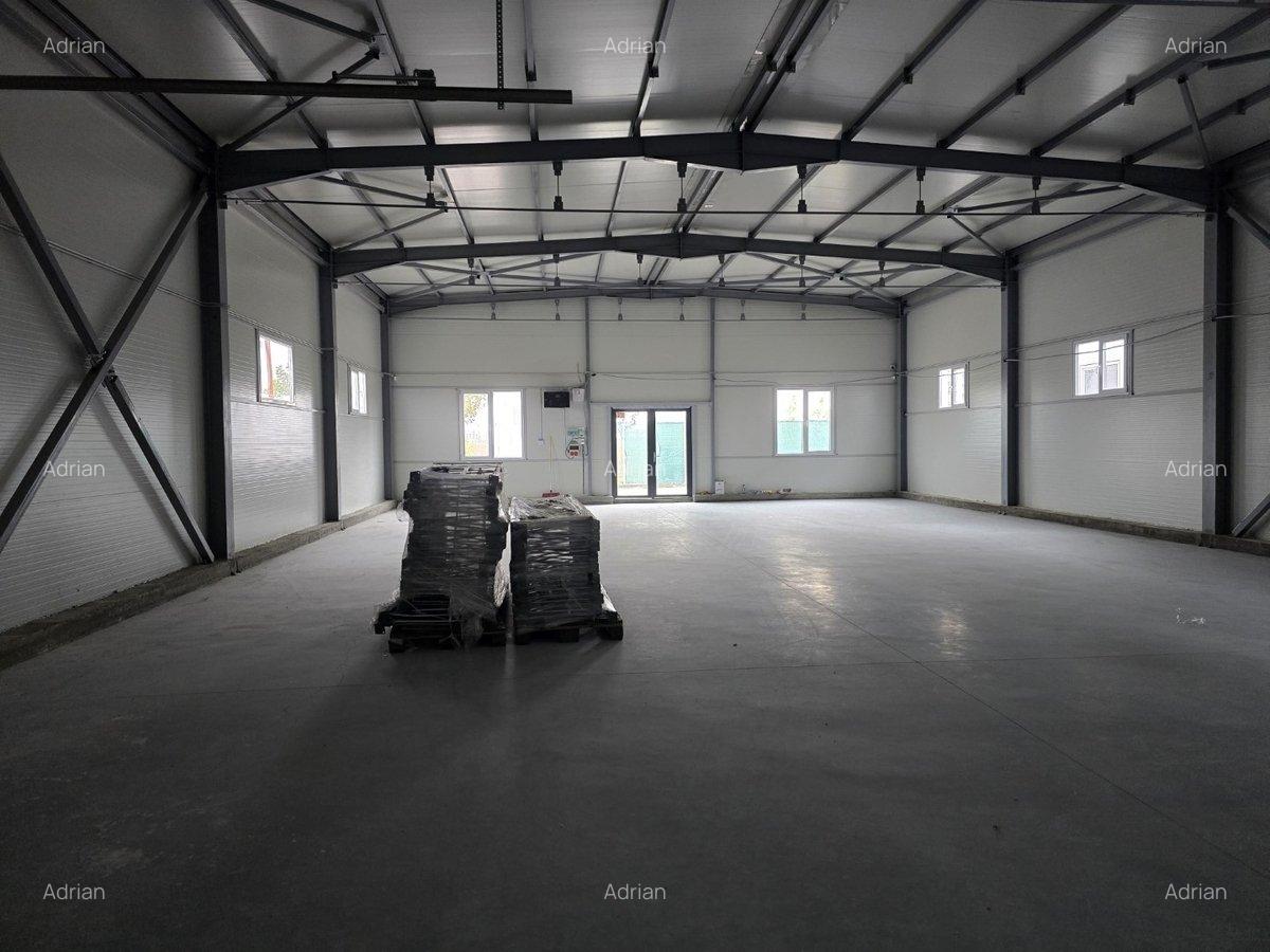Pallady, hala depozitare si birouri in zona Pallady, 460 mp la 3200 euro - 7