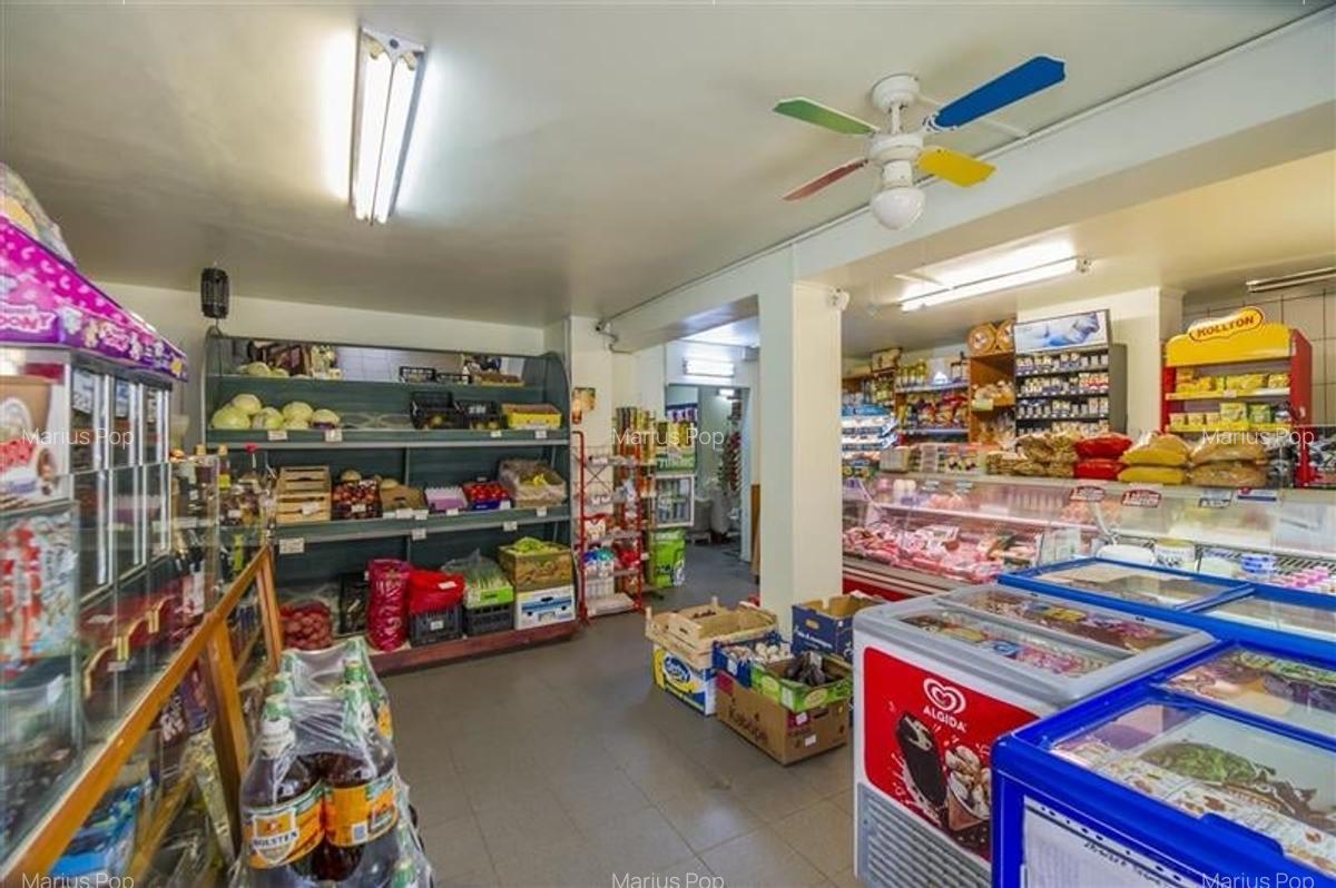 Spațiu comercial, 101 mp în Noua - 5