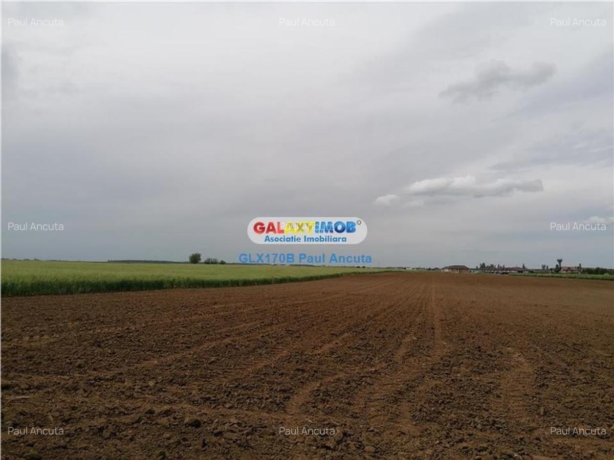 Teren Balotesti 16700 mp intravilan str Lunii apropiere utilitati - 1