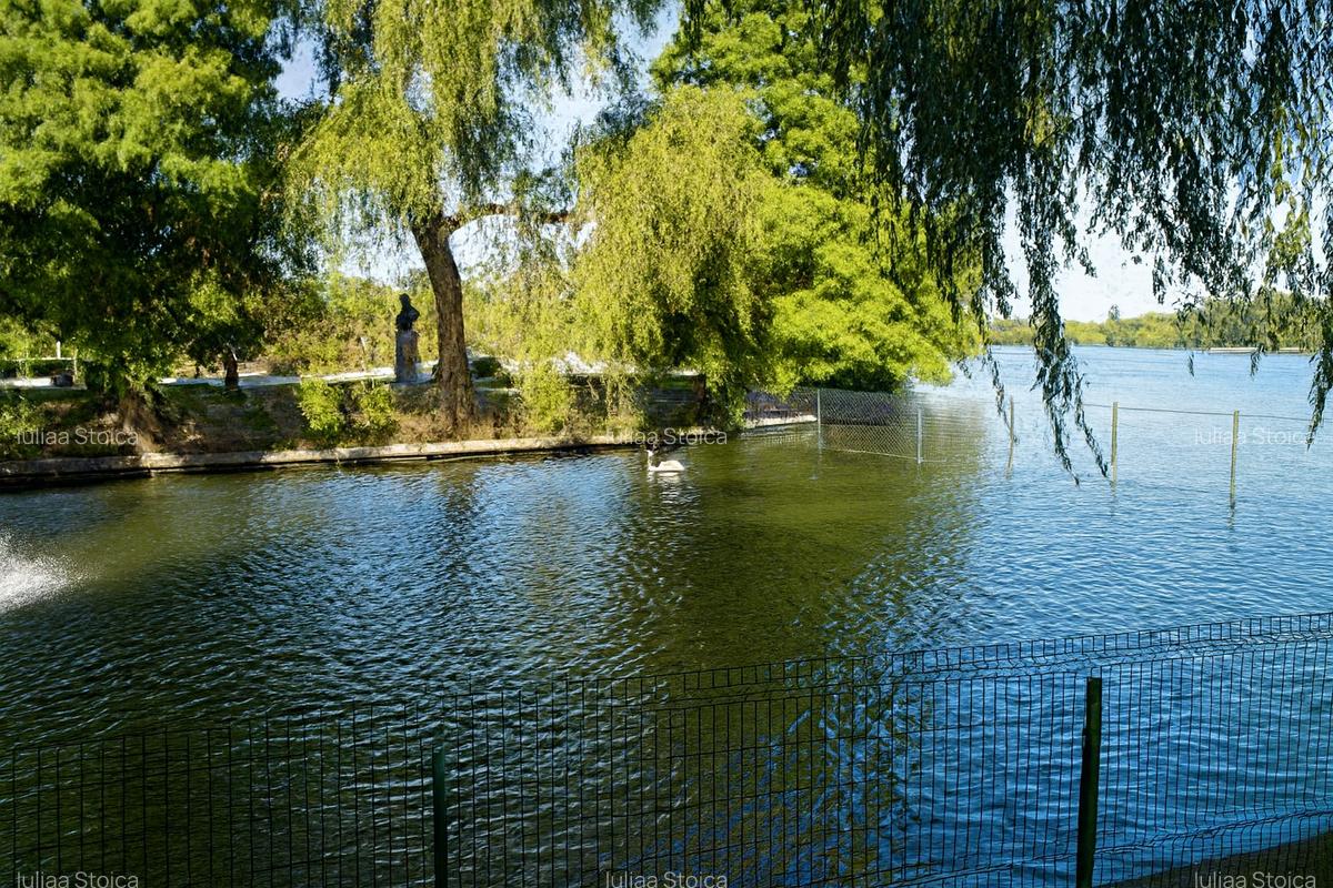 Apartament 3 Camere zona de Nord> FINALIZAT> Baneasa> 2 min Herastrau - 5