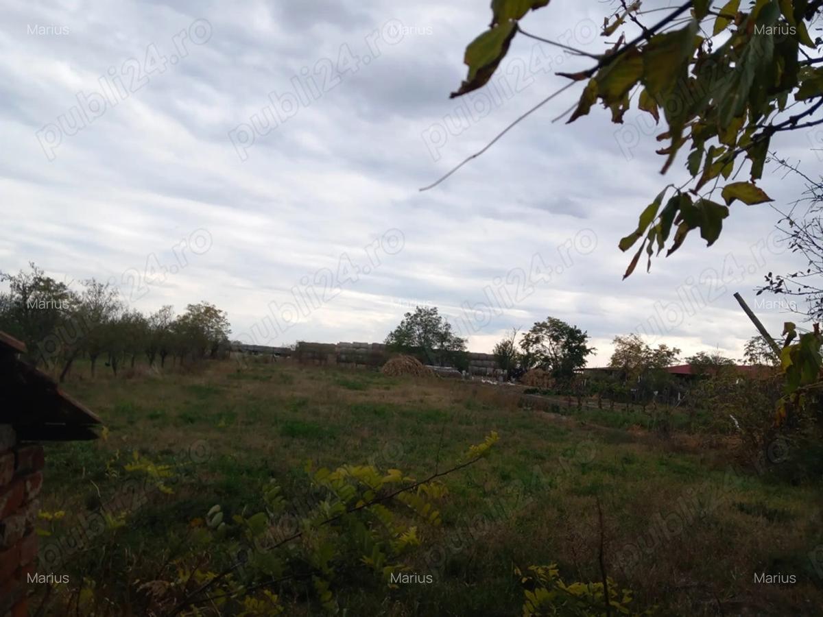 Vand casa sat Ivanda comuna Giulvaz Proprietar - 5 Vand casa sat Ivanda comuna Giulvaz Proprietar - 5