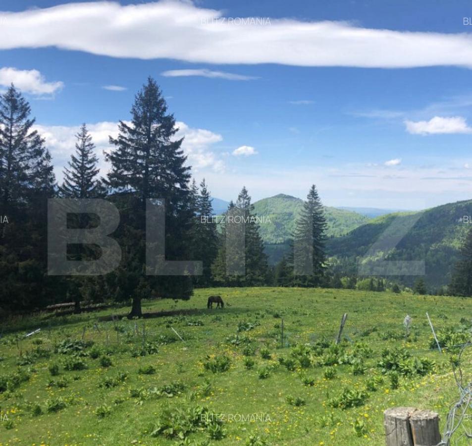 De vanzare, teren intravilan 5.500mp, Predeal - 1