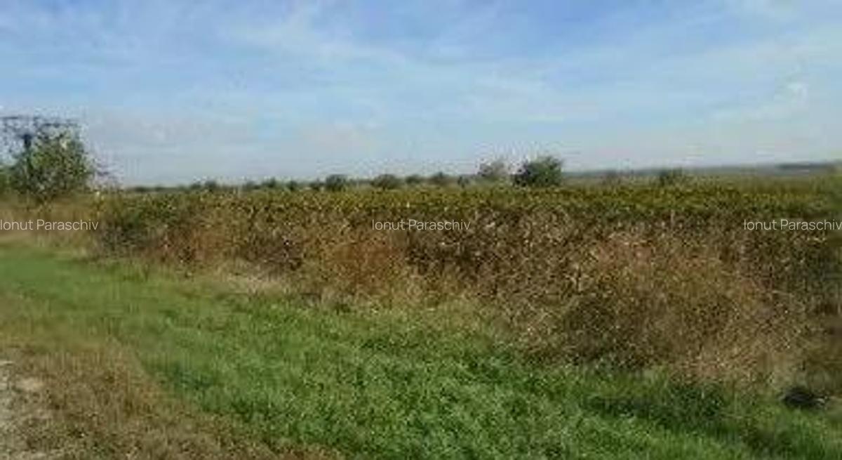 Teren extravilan Obrejita, ID: R2832813 - 8