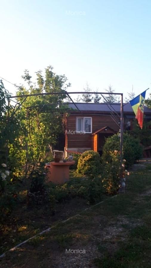 Vând casa în județul Alba - 12