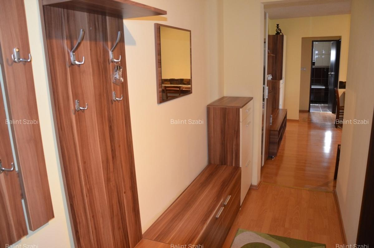 Aradului 3 camere 350 euro - 10