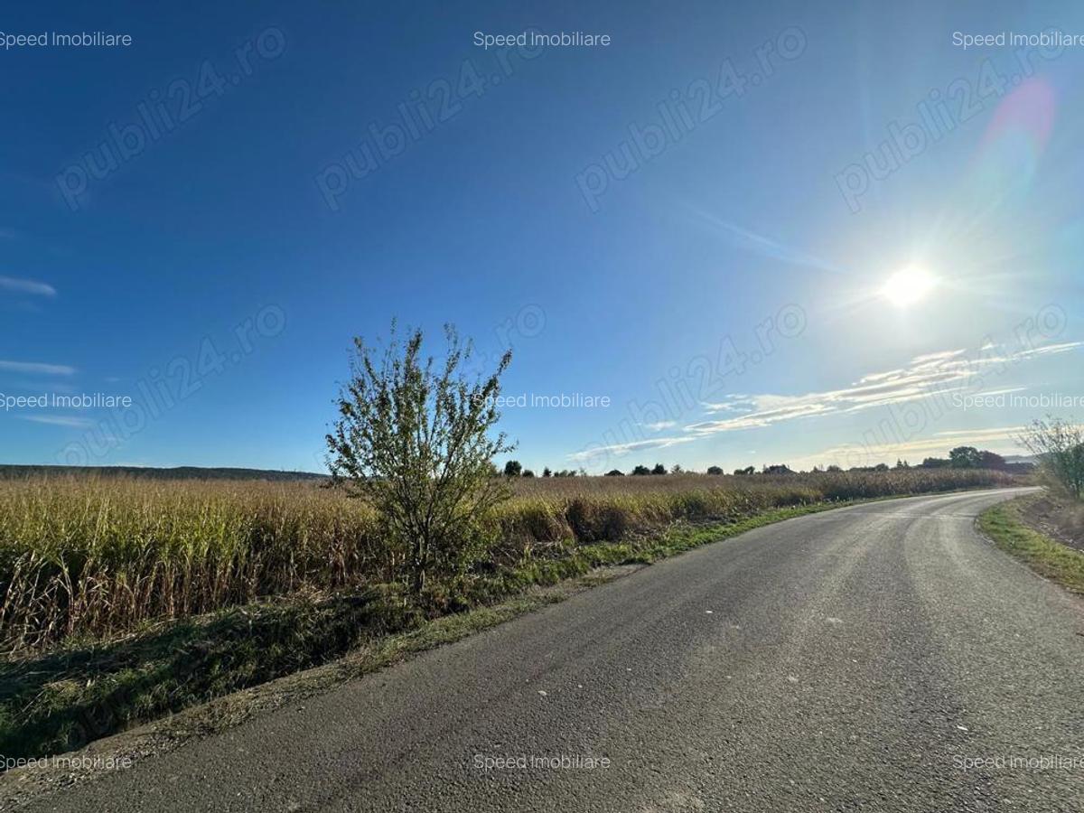 C 1508 De vanzare teren in Mure? - Santana de Mure? - 3