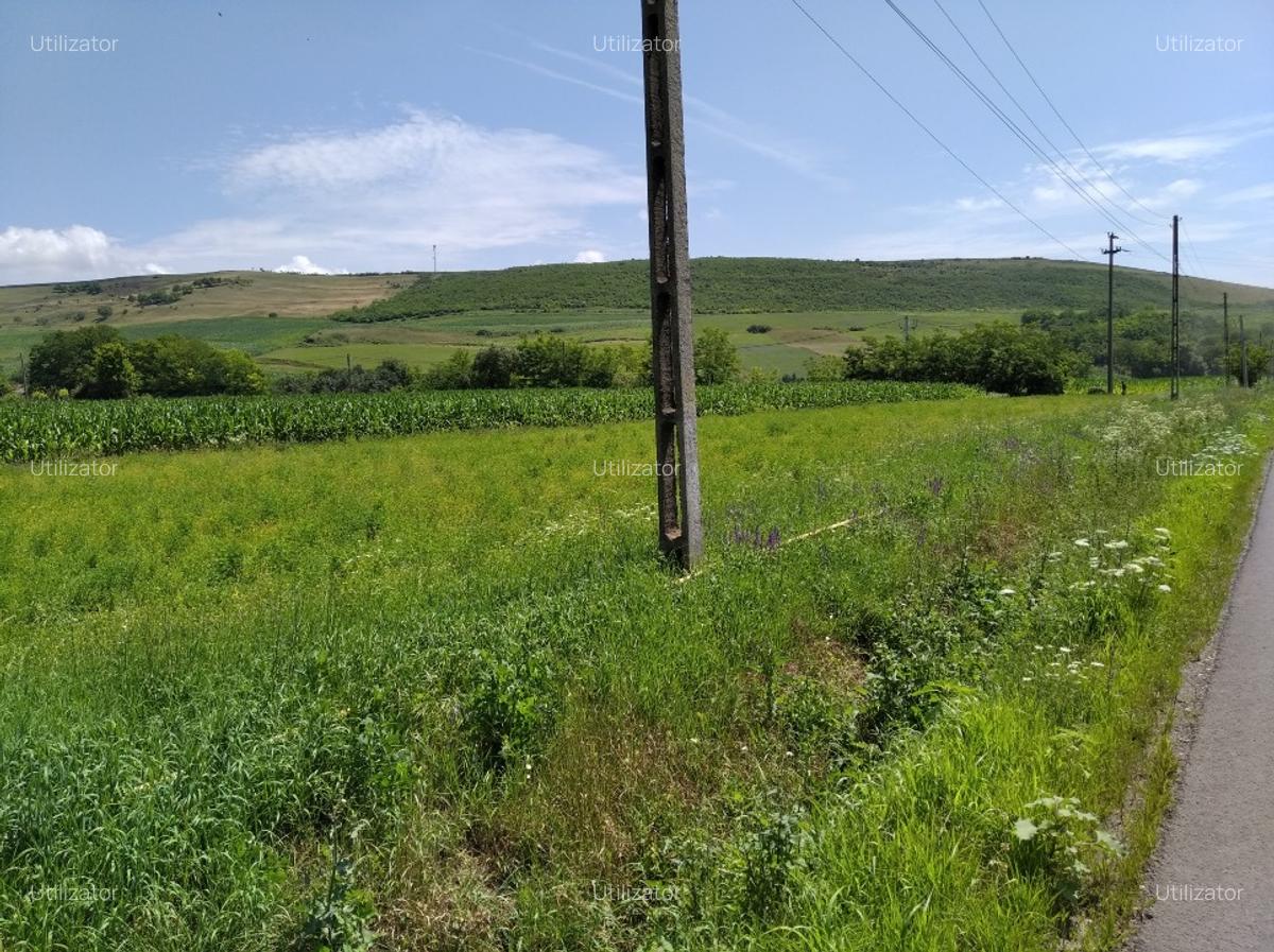 TEREN INTRAVILAN EXCEPTIONAL 6.600 MP LA MARGINEA SOSELEI ASFALTATE - IEFTIN ! - 1