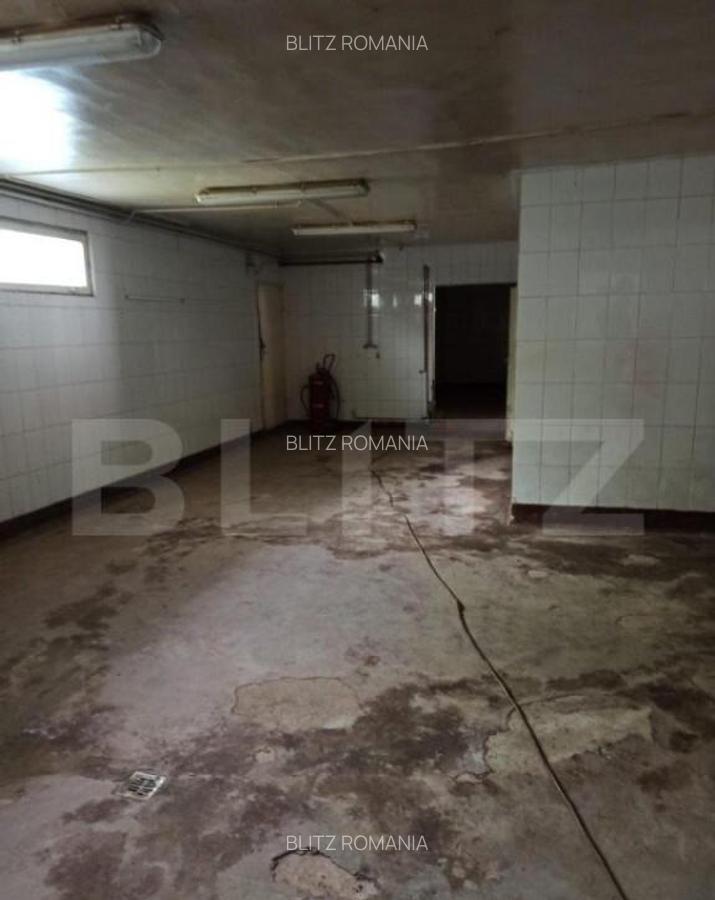 Hala industriala, 5 camere, 895mp, Sangeorgiu de Mures - 2