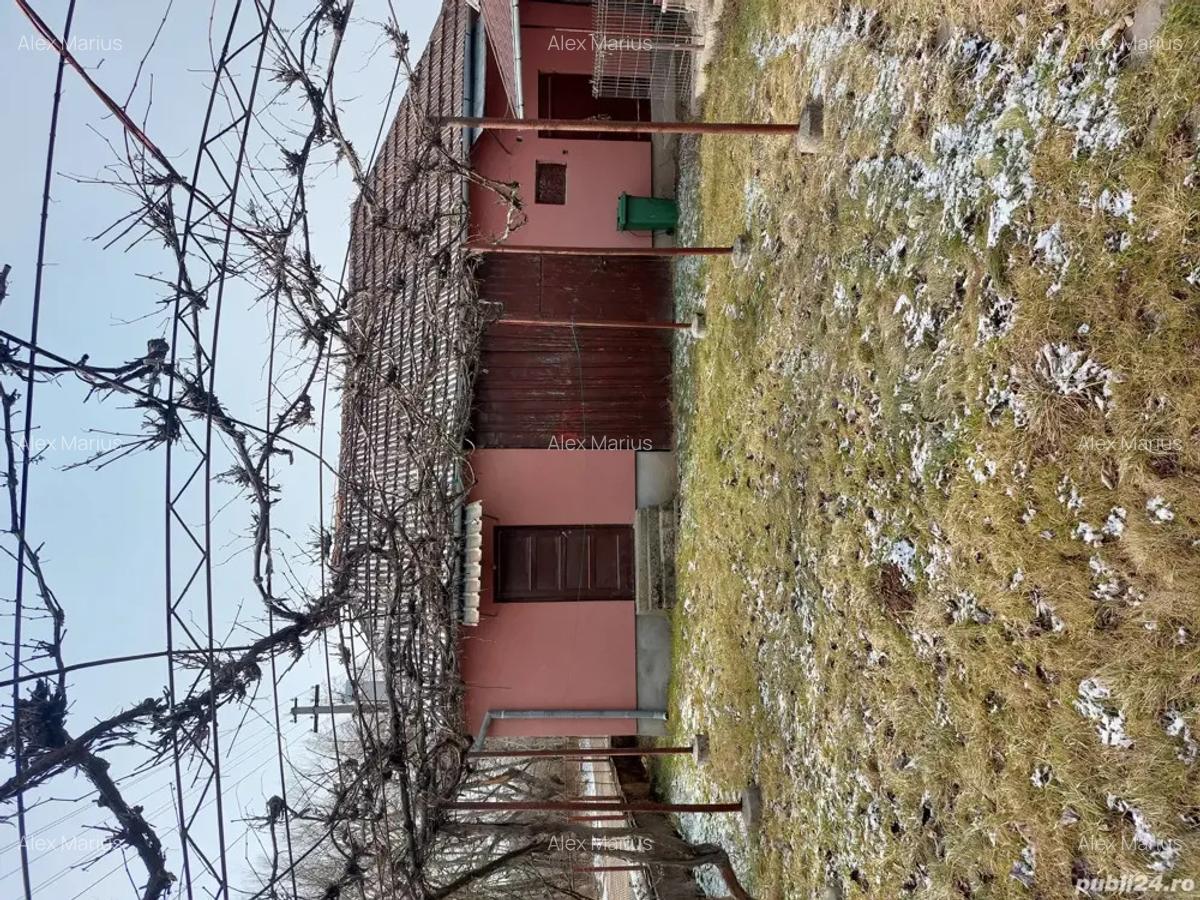 Vand casa in Valea Crisului - 4