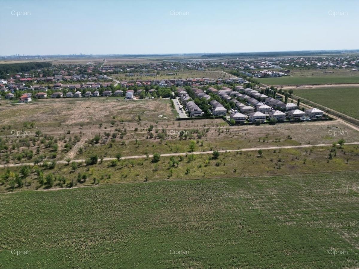 Teren intravilan langa padure Corbeanca Park - 3