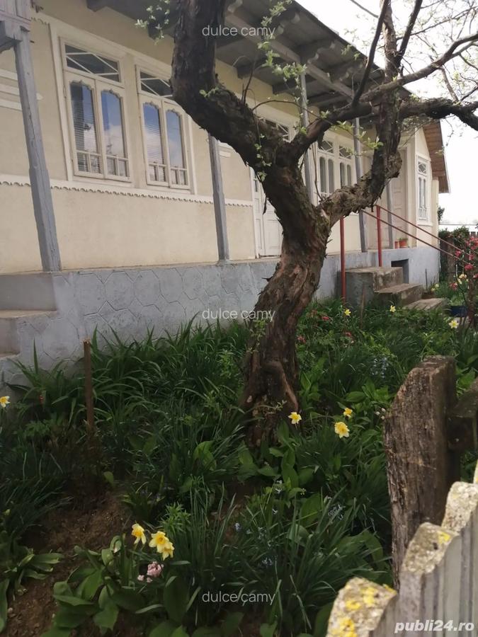 Proprietar vand casa - 1