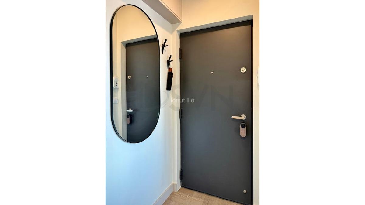 REA1024293 Apartament 2 camere Cismigiu I Plevnei - 7