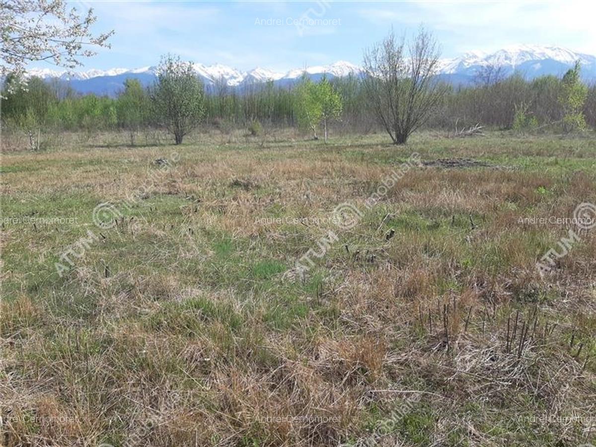 Teren intravilan 2700 mp pe Valea Avrigului localitate Avrig - 5