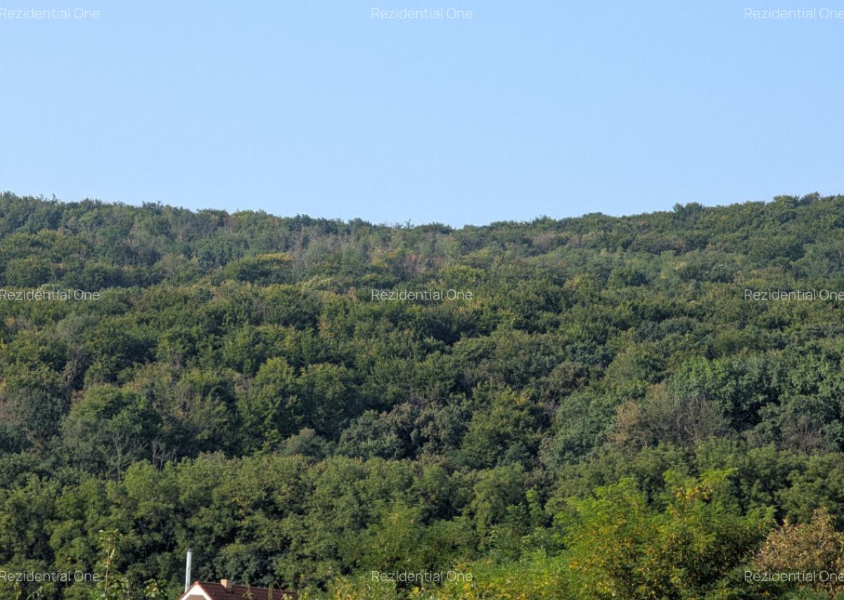 Casa cu vedere spre padure! Hemeiusi - incalzire pardosea - 17