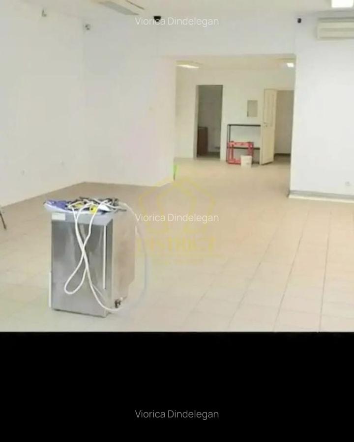 Spatiu Comercial SAD vad bun I Sagului - 4