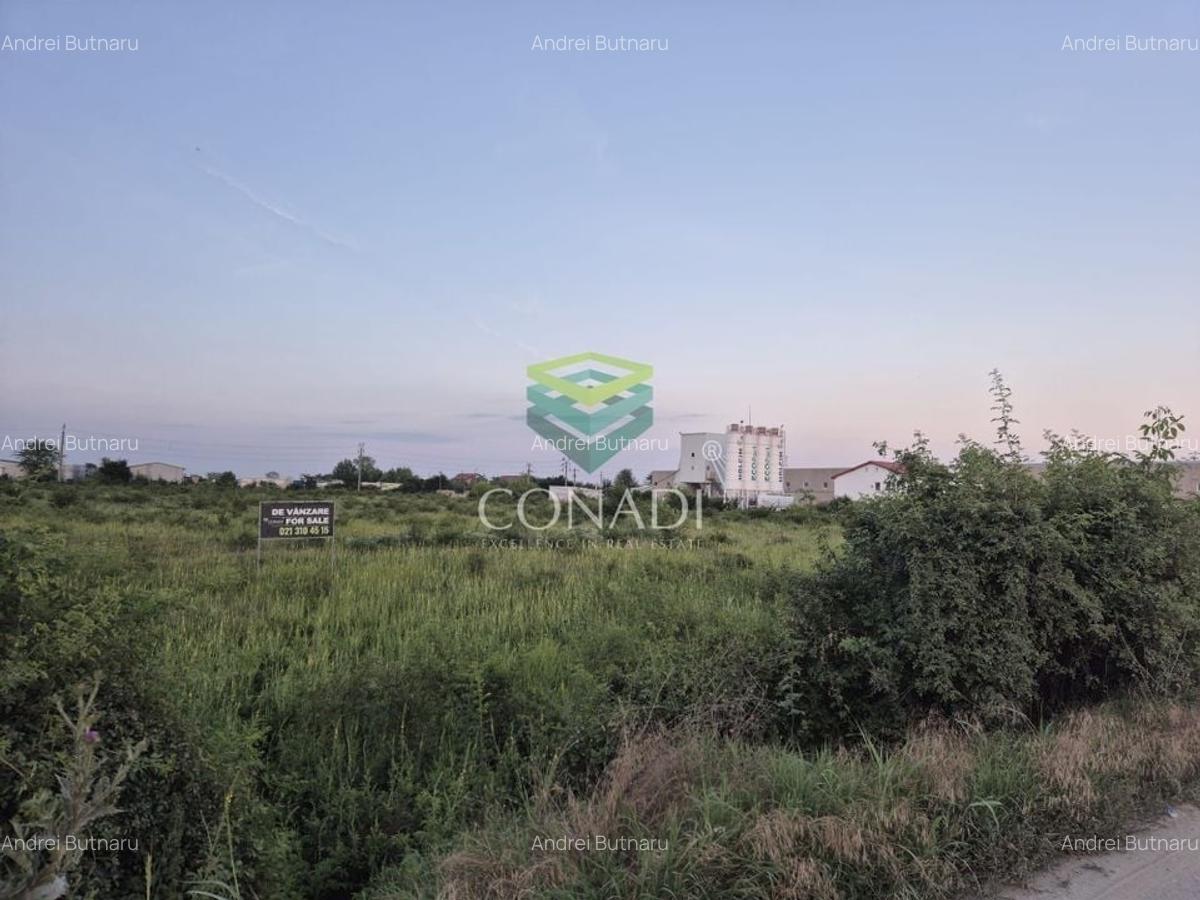 Teren  - pretabil pentru industrial - Centura -  Clinceni - 2