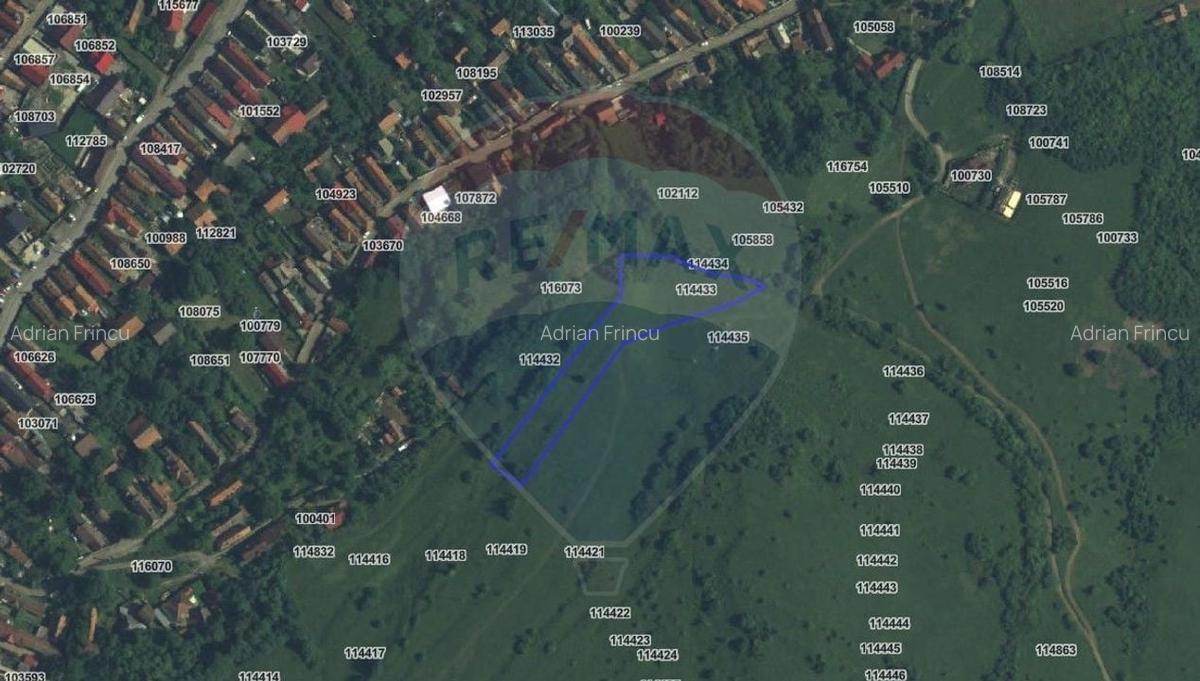 Teren extravilan, faneata, 4000 mp, Tarlungeni - 5