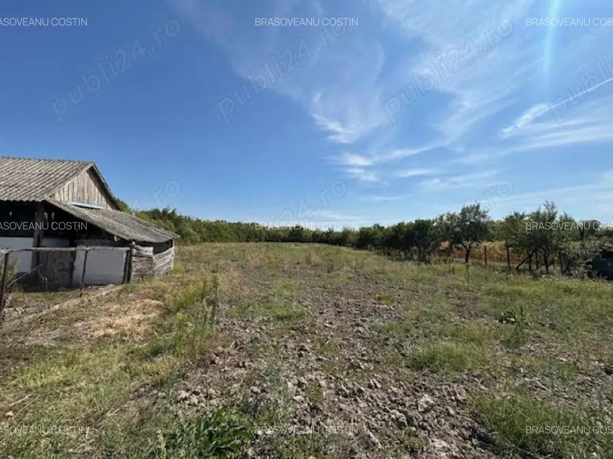 Casa cu teren de 6060 mp | LOC. BICACI | BIHOR - 9