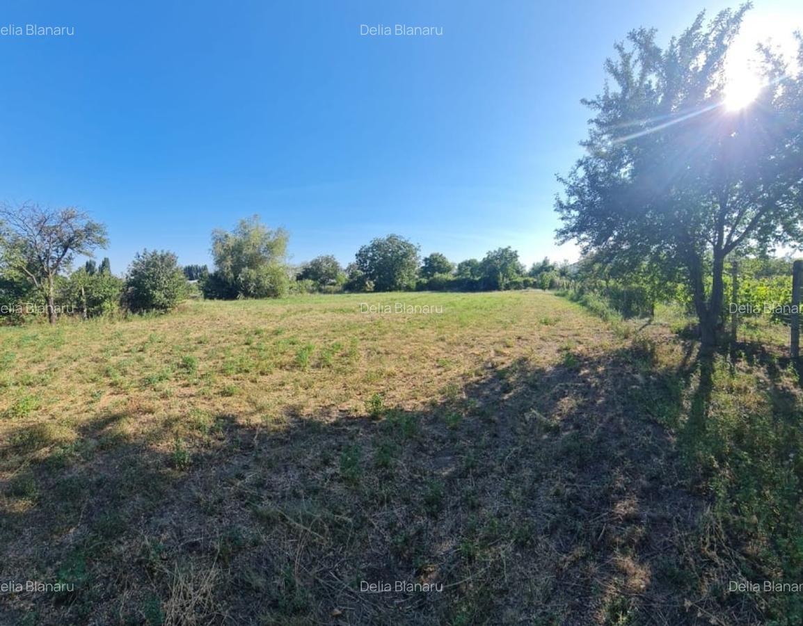 Teren 2236mp intravilan Jaristea - 5