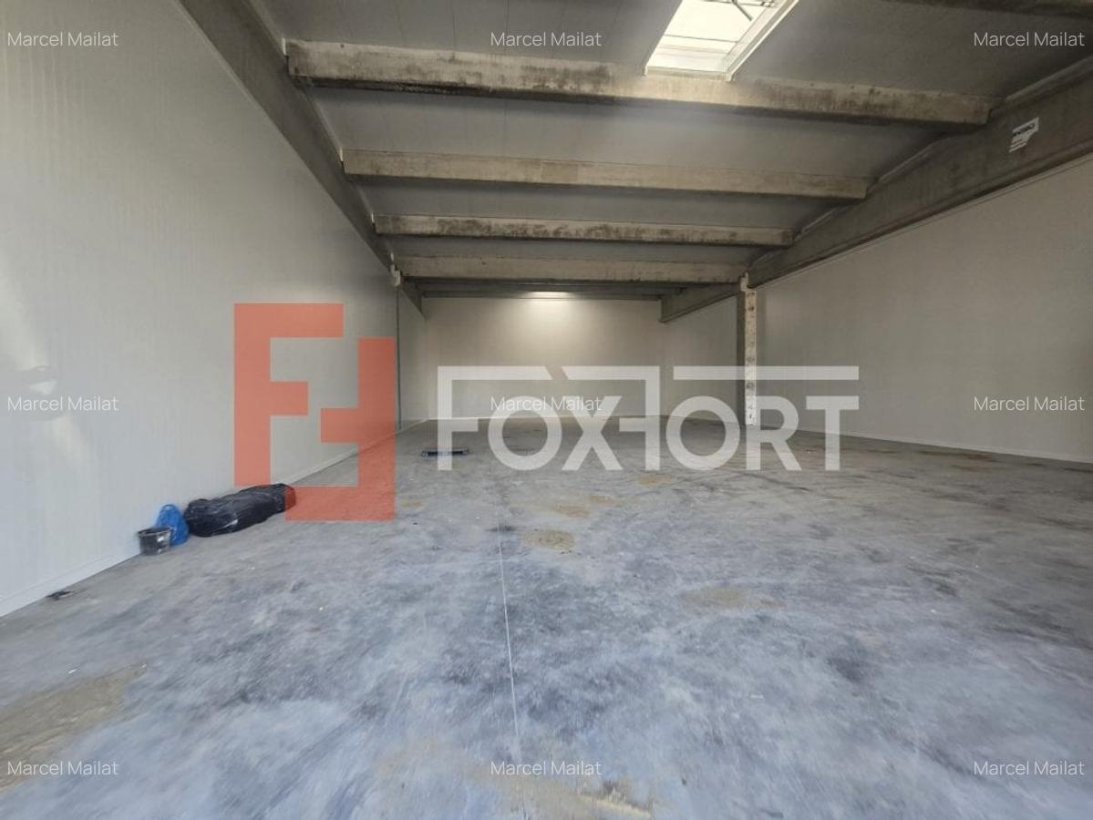Spațiu industrial, 524 mp în Sânandrei - 7