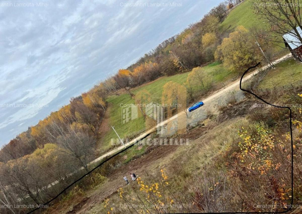 Teren intravilan Sinca Noua - 4