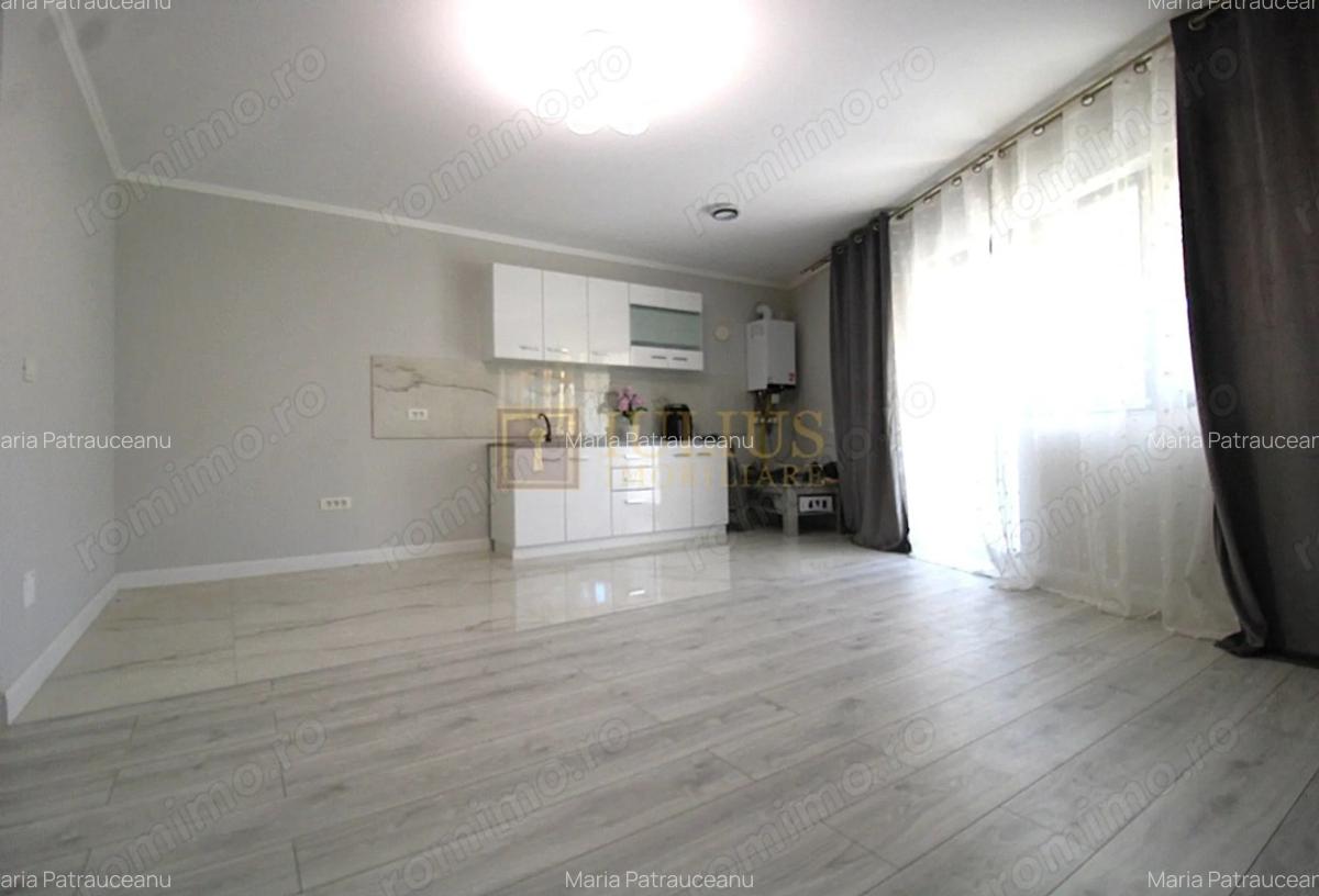 Curte, 4 apartamente, 8 camere, perfecta pt activita?i educa?ionale-Dumbravita - 6