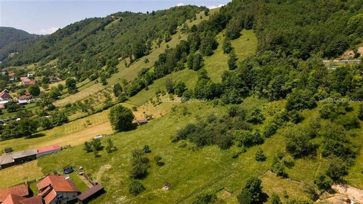 Teren de 1.450 mp, cu priveliste de carte postala, Bran, Moieciu, Brasov - 7