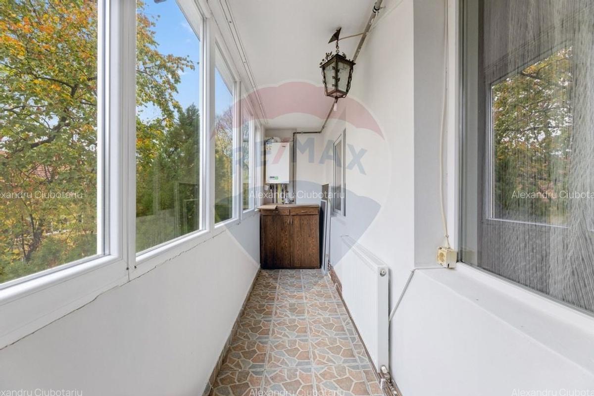 Apartament cu 3 camere de inchiriat - zona Boul Rosu - 7