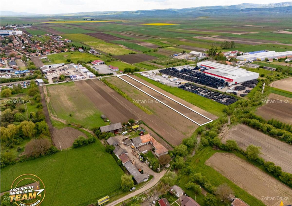 FILM! 5.000 mp teren, la marginea orasului Targu Secuiesc, a - 5