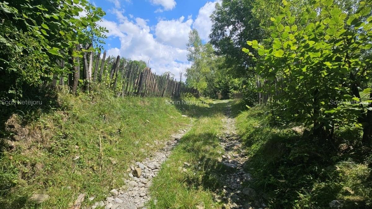 REL4001173 Teren de vanzare in Valea Doftanei - 6