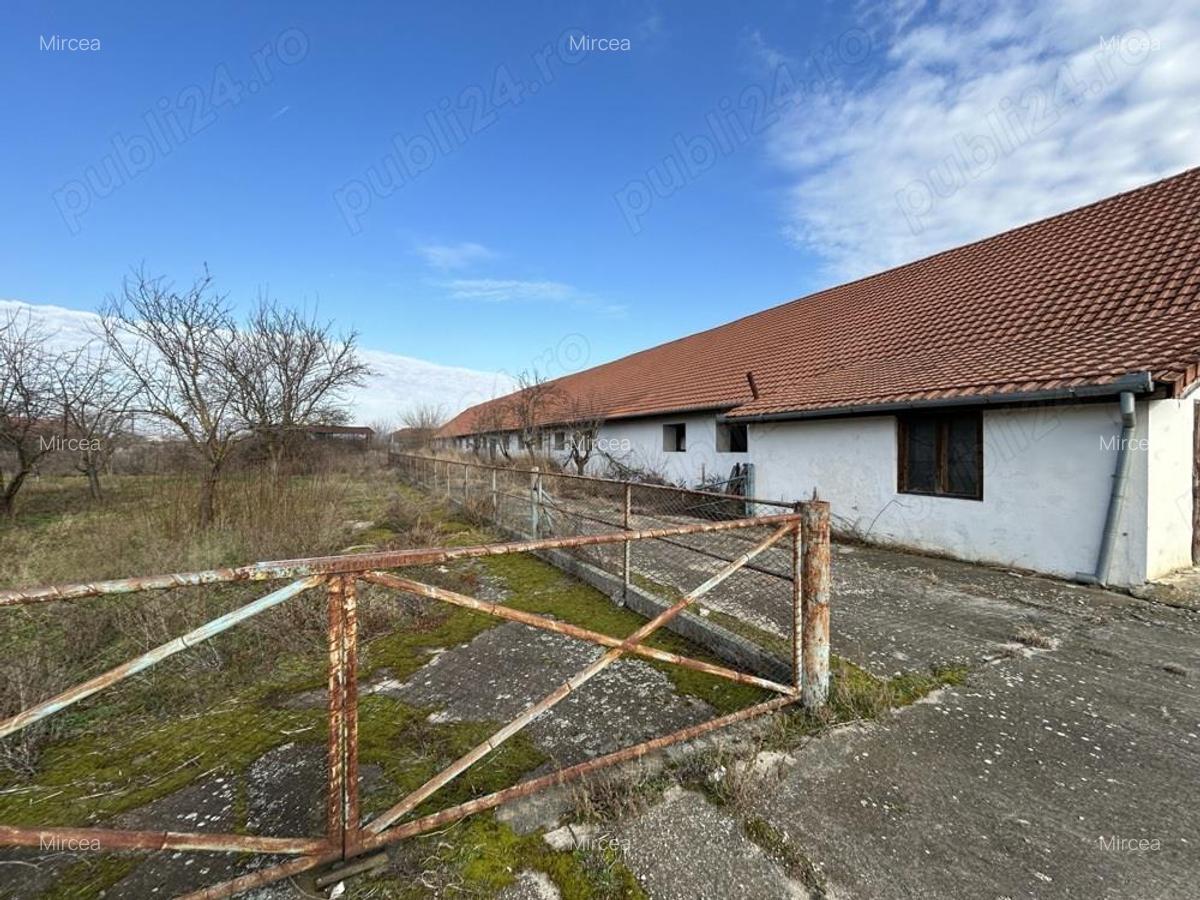 Vand teren intravilan,zona industriala,st.16,8 ha. + 8 ha.agricol,in Sanicolau Mare, la DN6,la sosea - 11