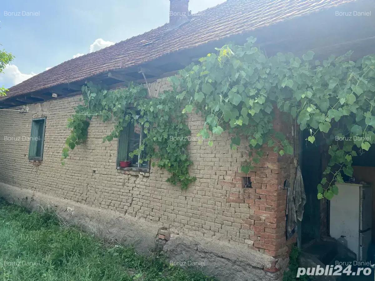Casa cu teren Remetes Pogonici Caras Severin - 2