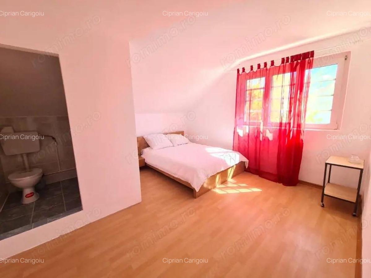 Vanzare proprietate multifunc?ionala, in Arcani, sat Sanate?ti - la DN 67 D - 2