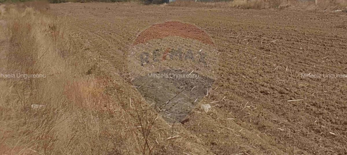 Teren intravilan 3,261mp Balotesti / Strada Rozelor - 3